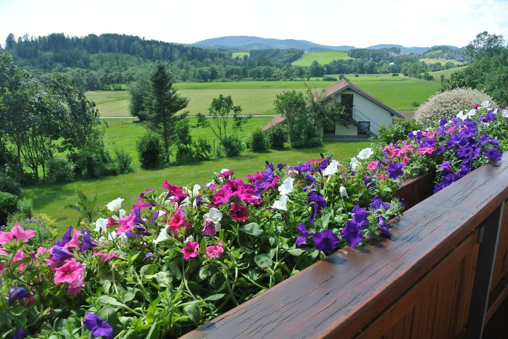 Haus Am Waldrand - Ferienwohnung Augustin Grafenau  Esterno foto