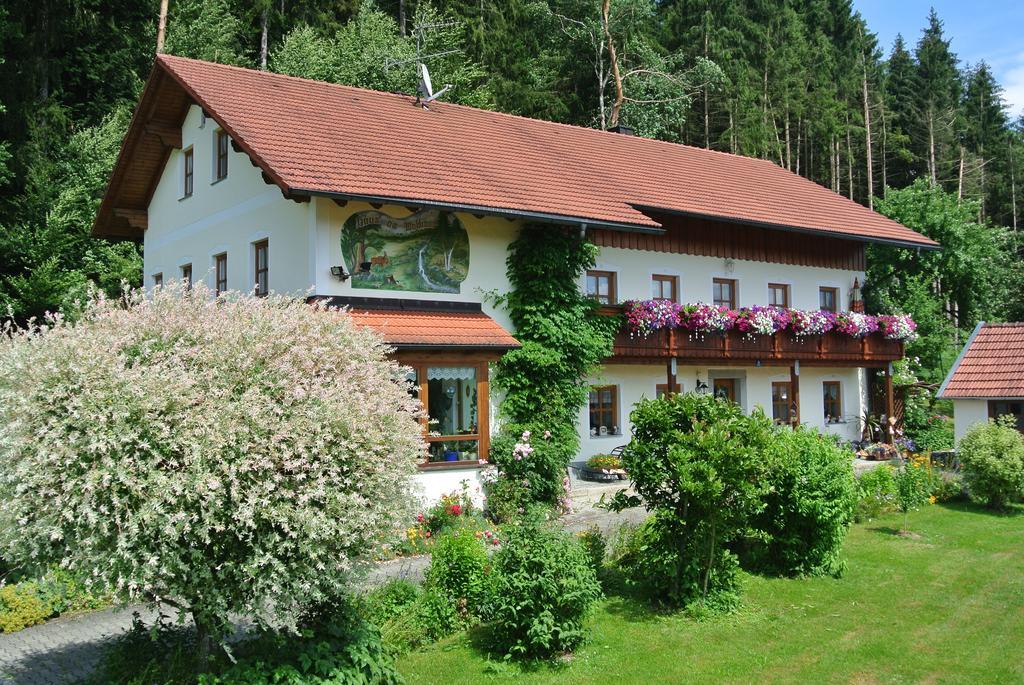 Haus Am Waldrand - Ferienwohnung Augustin Grafenau  Esterno foto