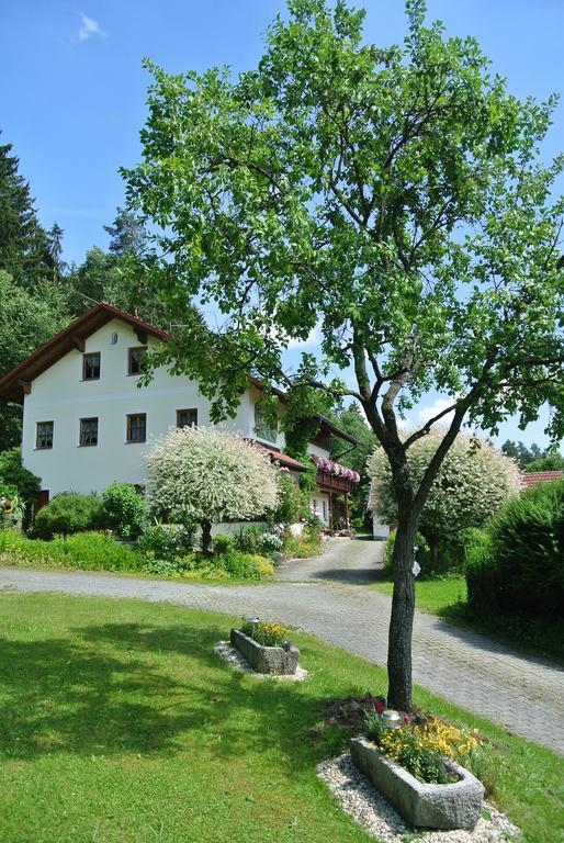 Haus Am Waldrand - Ferienwohnung Augustin Grafenau  Esterno foto