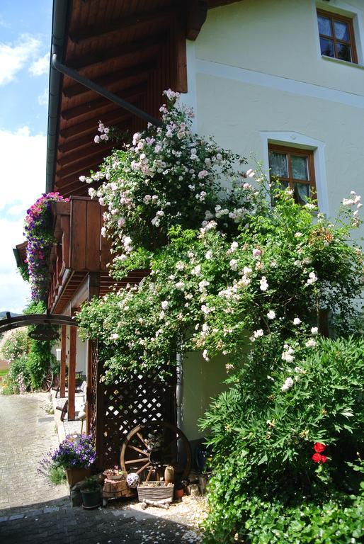 Haus Am Waldrand - Ferienwohnung Augustin Grafenau  Esterno foto